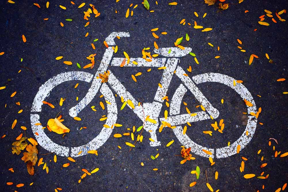 Biały znak poziomy ścieżki rowerowej w żółtych jesiennych liściach